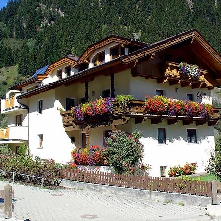 Appartement Haus Alpengruss à Neustift im Stubaital Extérieur photo